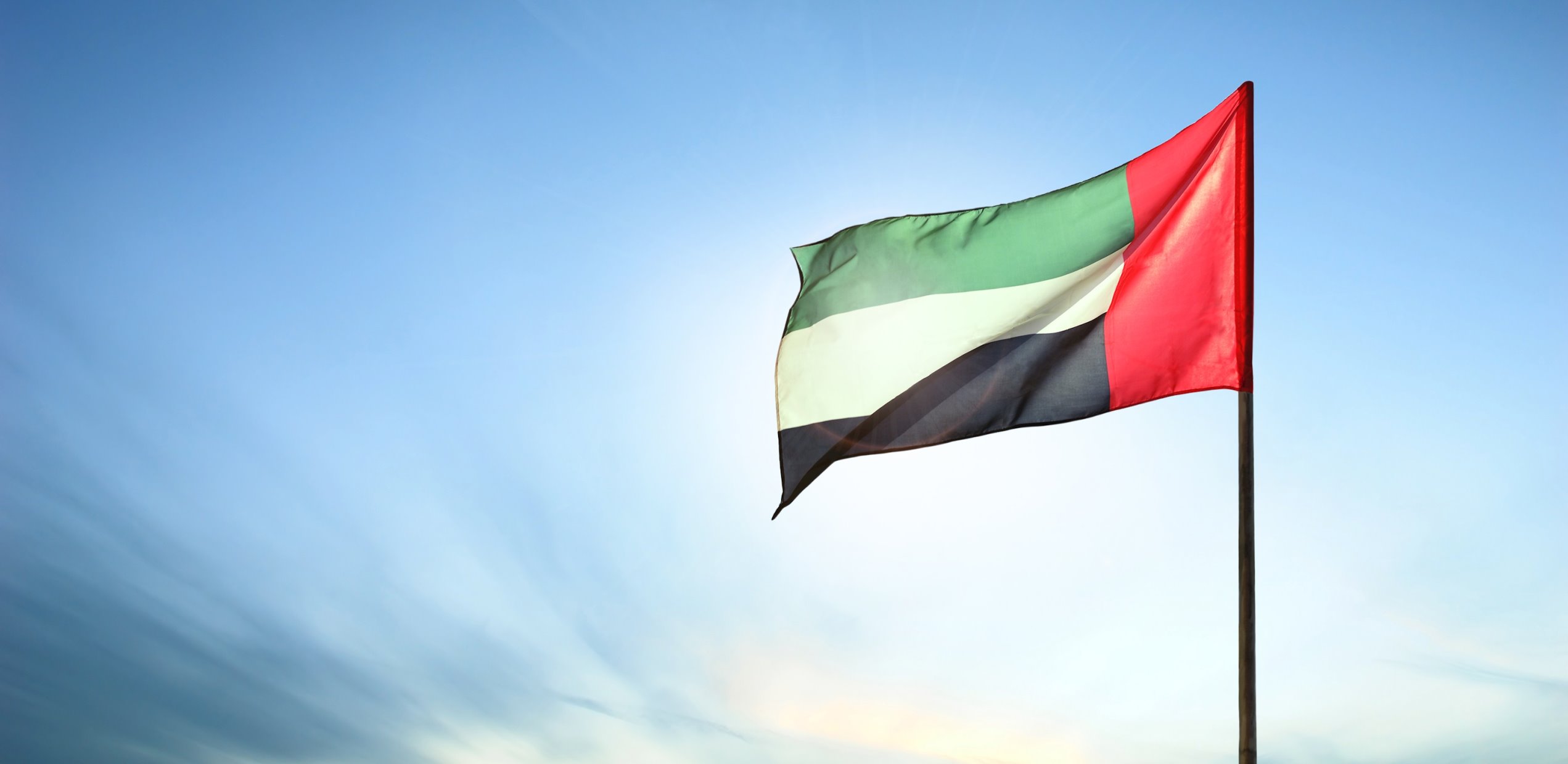 UAE Vision and National Agenda